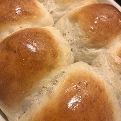Sourdough Rolls