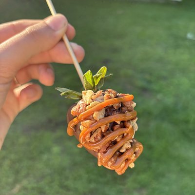 Turtle Strawberries