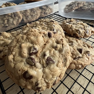 Signature DoubleTree Chocolate Chip Cookie