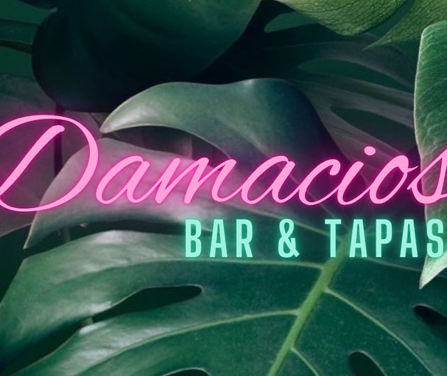 11/2 - Damacio’s Day of The Dead Cookie Class 