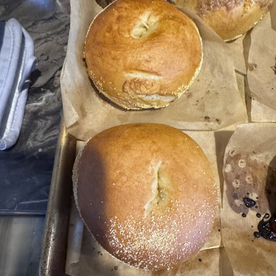 Plain Bagel 
