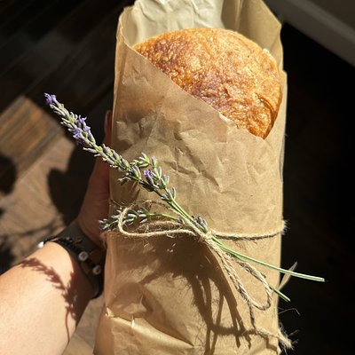 Plain Jane Sourdough Loaf