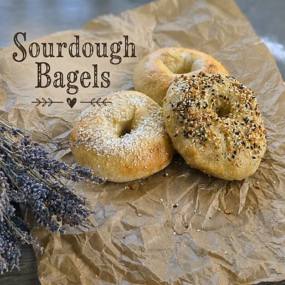 Sourdough Bagels (6) Plain 