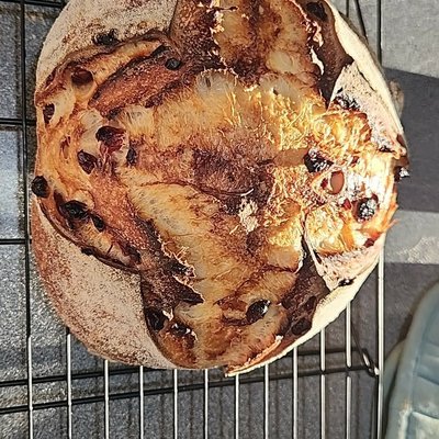 Cranberry Orange Sourdough
