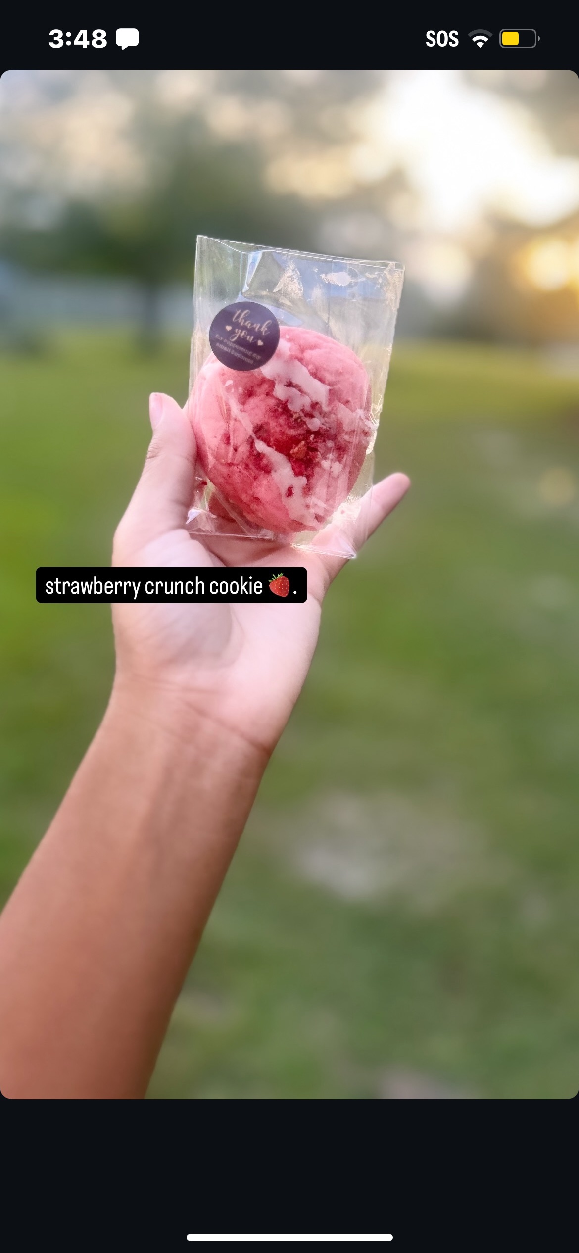 Strawberry Crunch 