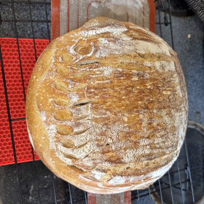 Sourdough Loaf