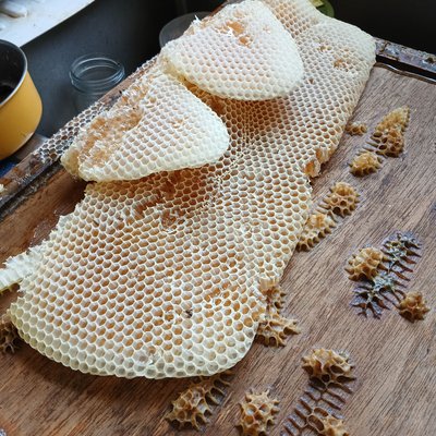 PRE-ORDER HONEY COMB
