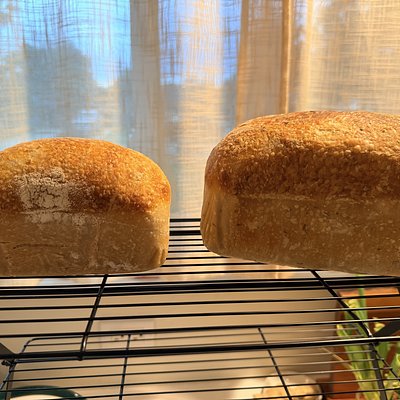 Mini Loaf 