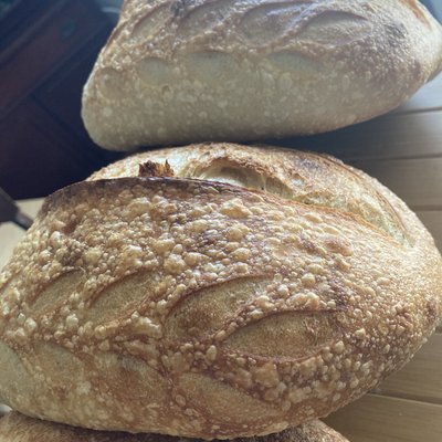 Artisan Bread