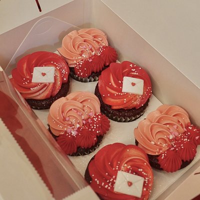 6 Pack Chocolate Cupcake Case 