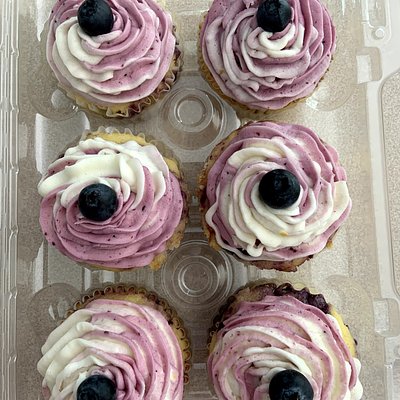 Basic Cupcakes