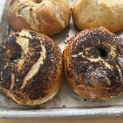 Sourdough Poppy Seed Bagels 6 Pack 