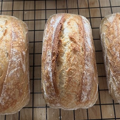 MINI - Classic Sourdough Loaf