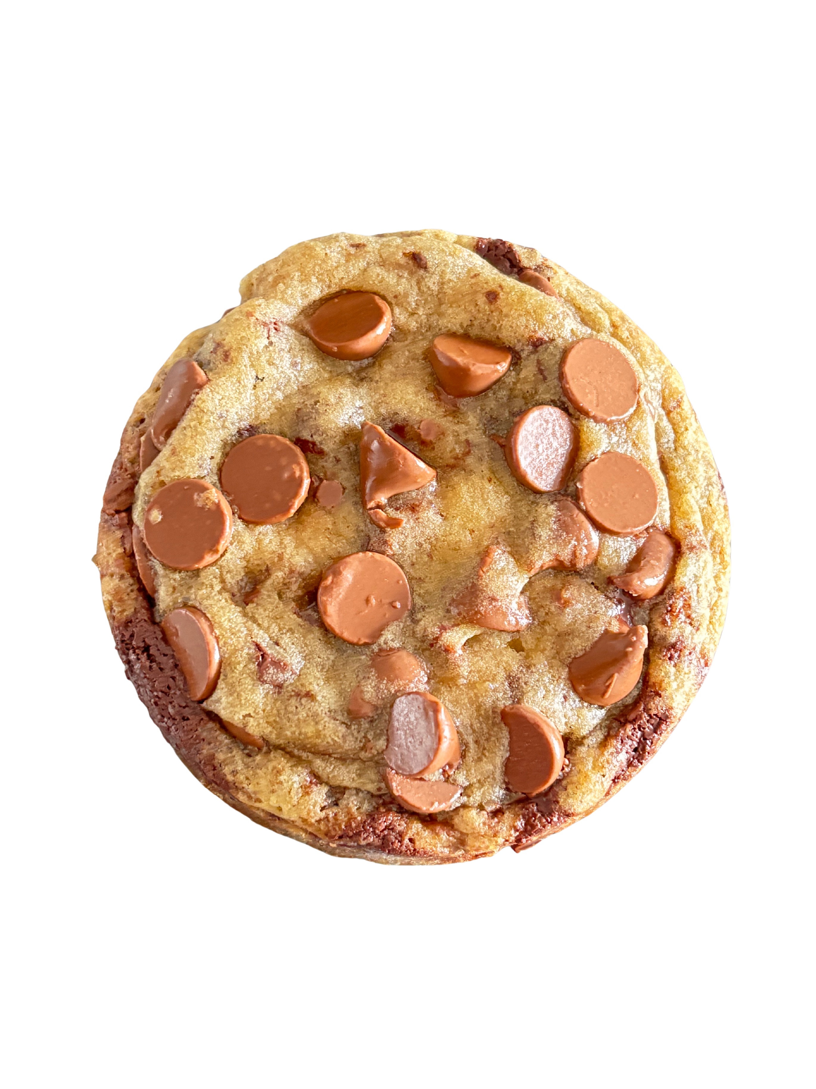 Chocolate Chip