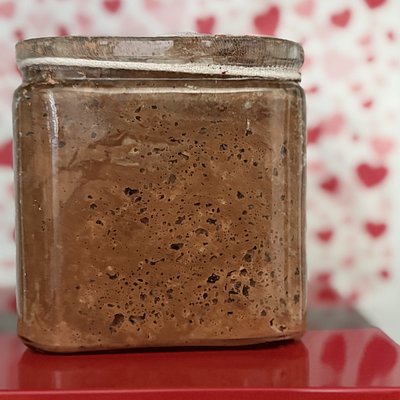 Miss Daisy Chocolate Starter – 100g Live Active Culture 🌼