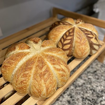 Sourdough Pumpkin 