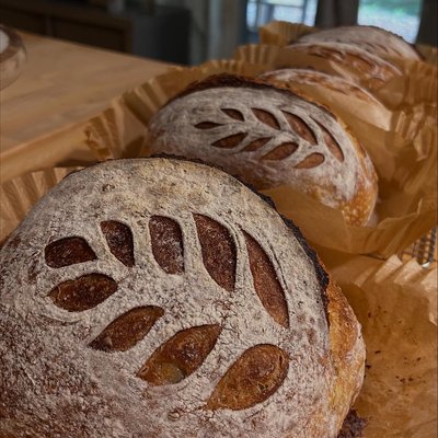 Sourdough Bread 