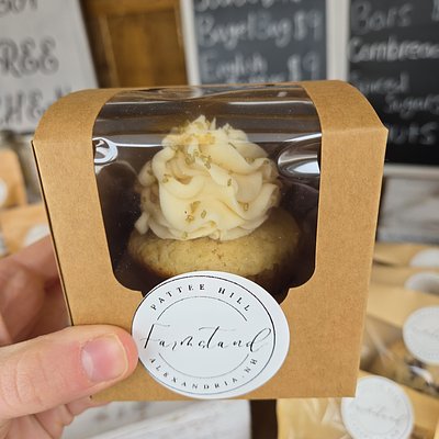 Vanilla Cupcake