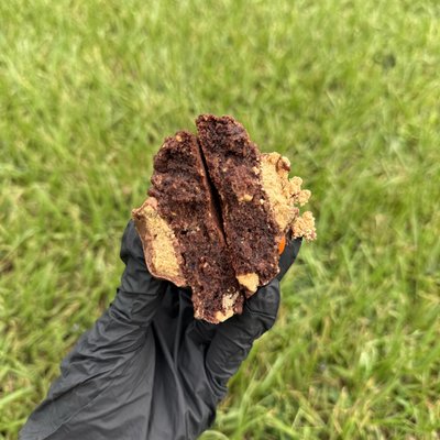 Chocolate PB Party - 1 Pack 
