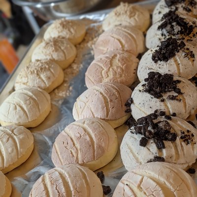 Conchas 