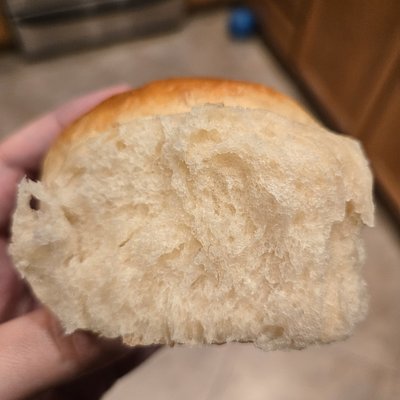 Dinner Rolls
