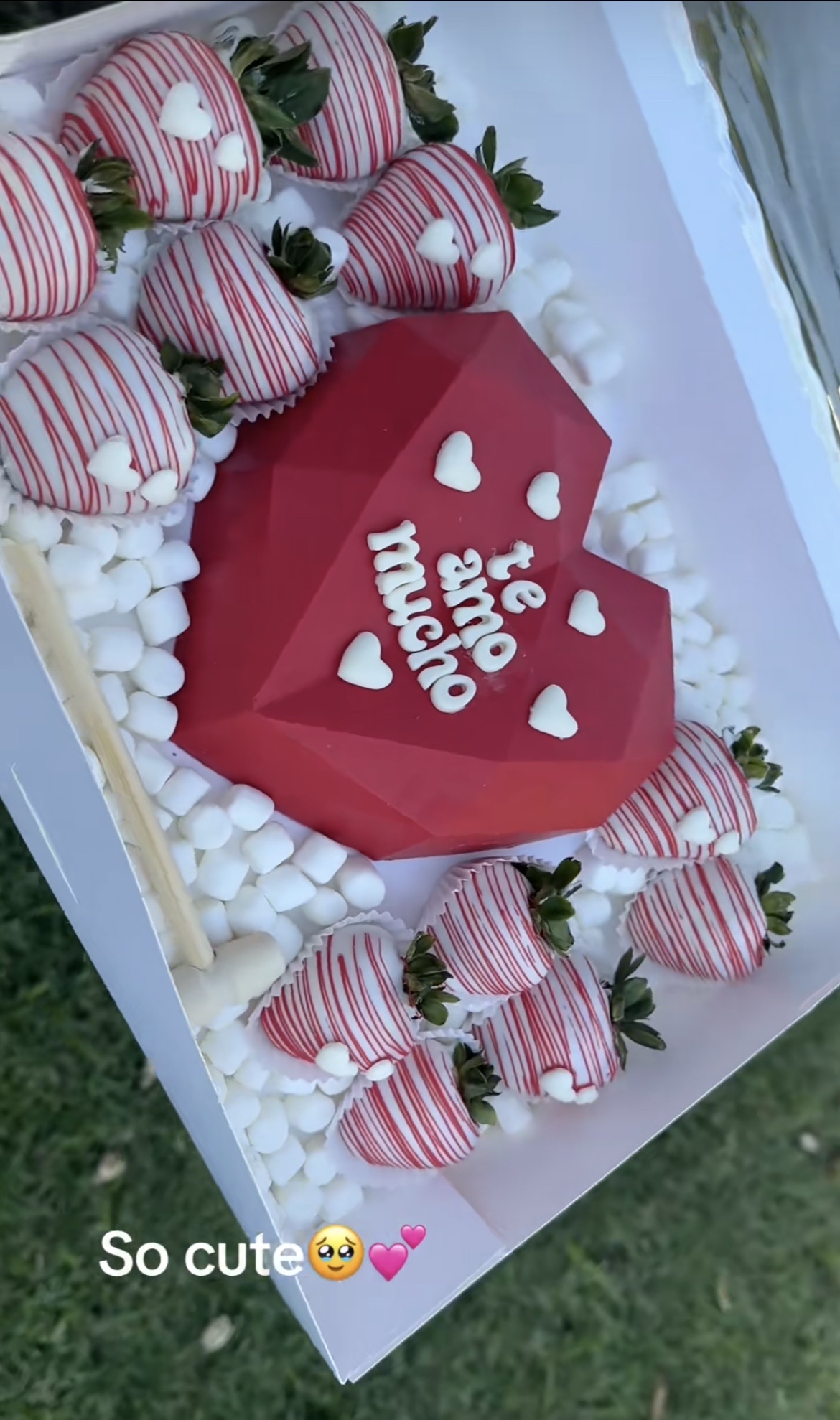 Breakable Hearts With Surprise Items 