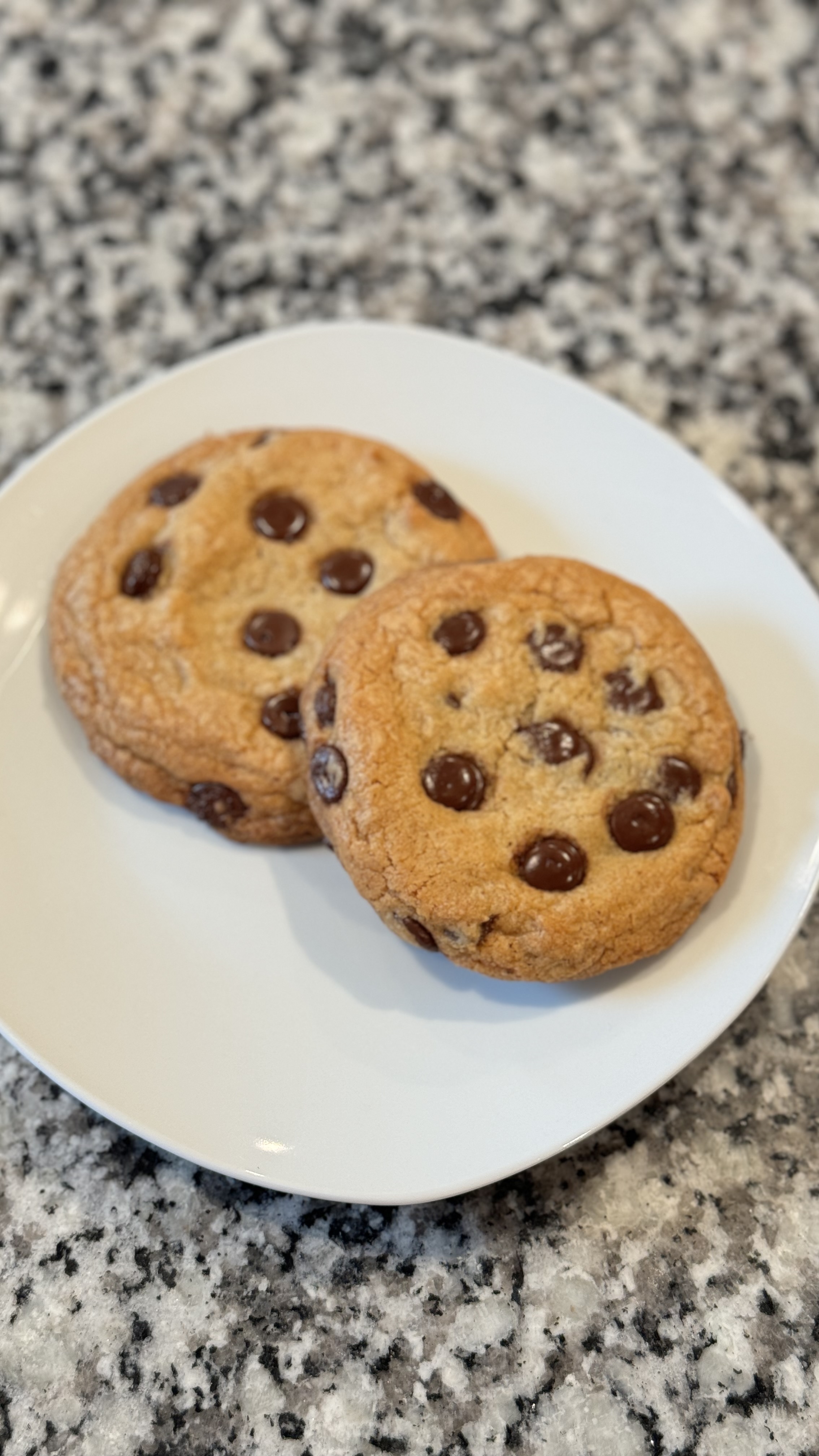 Chocolate Chip Cookie 