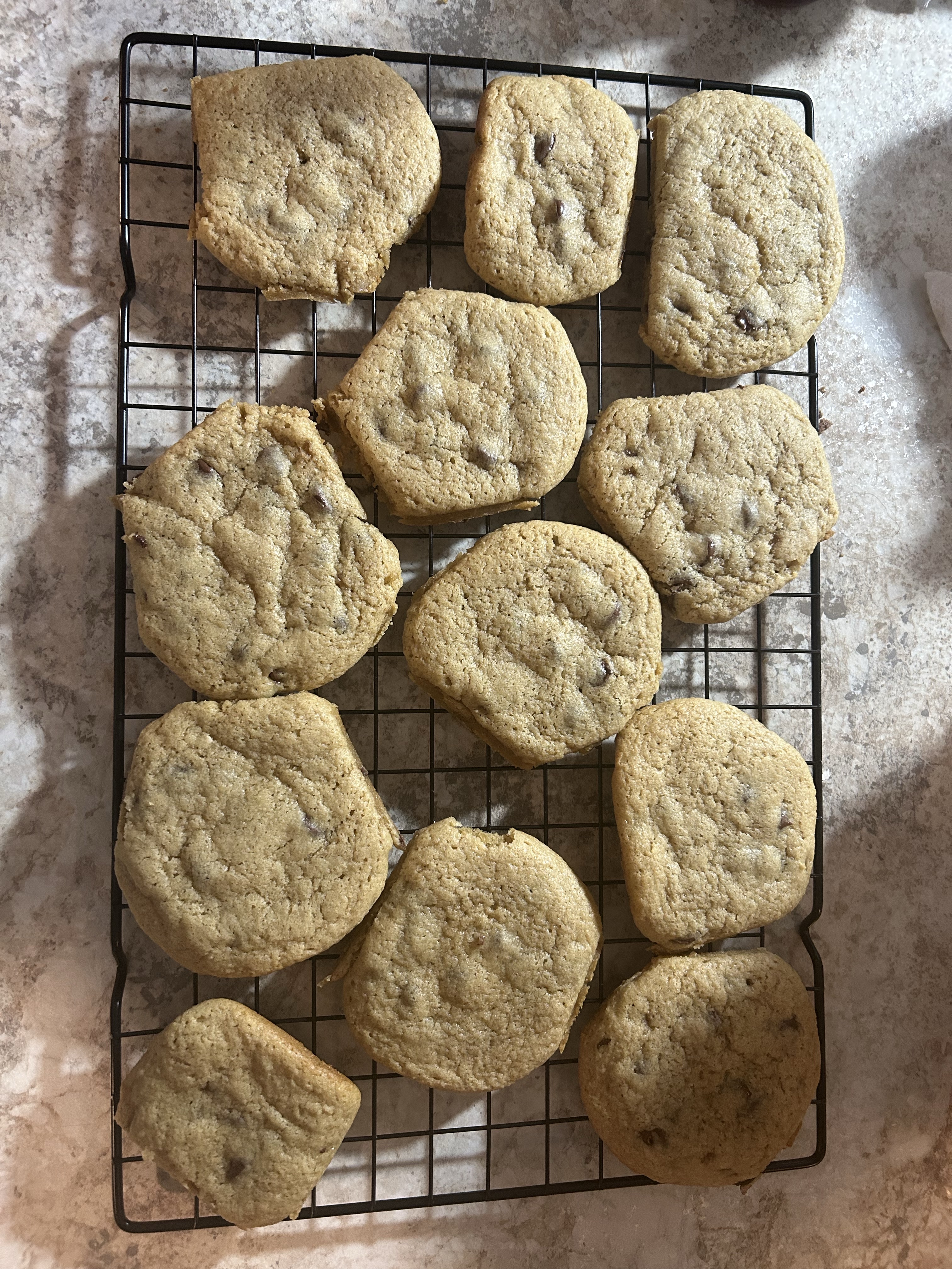 Chocolate Chip Sourdough Cookies
