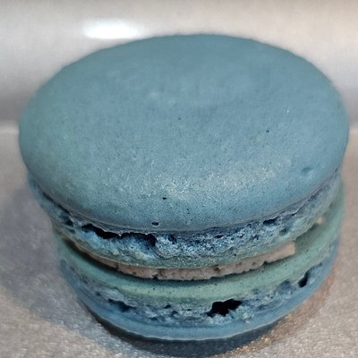 Blueberry Macaron 