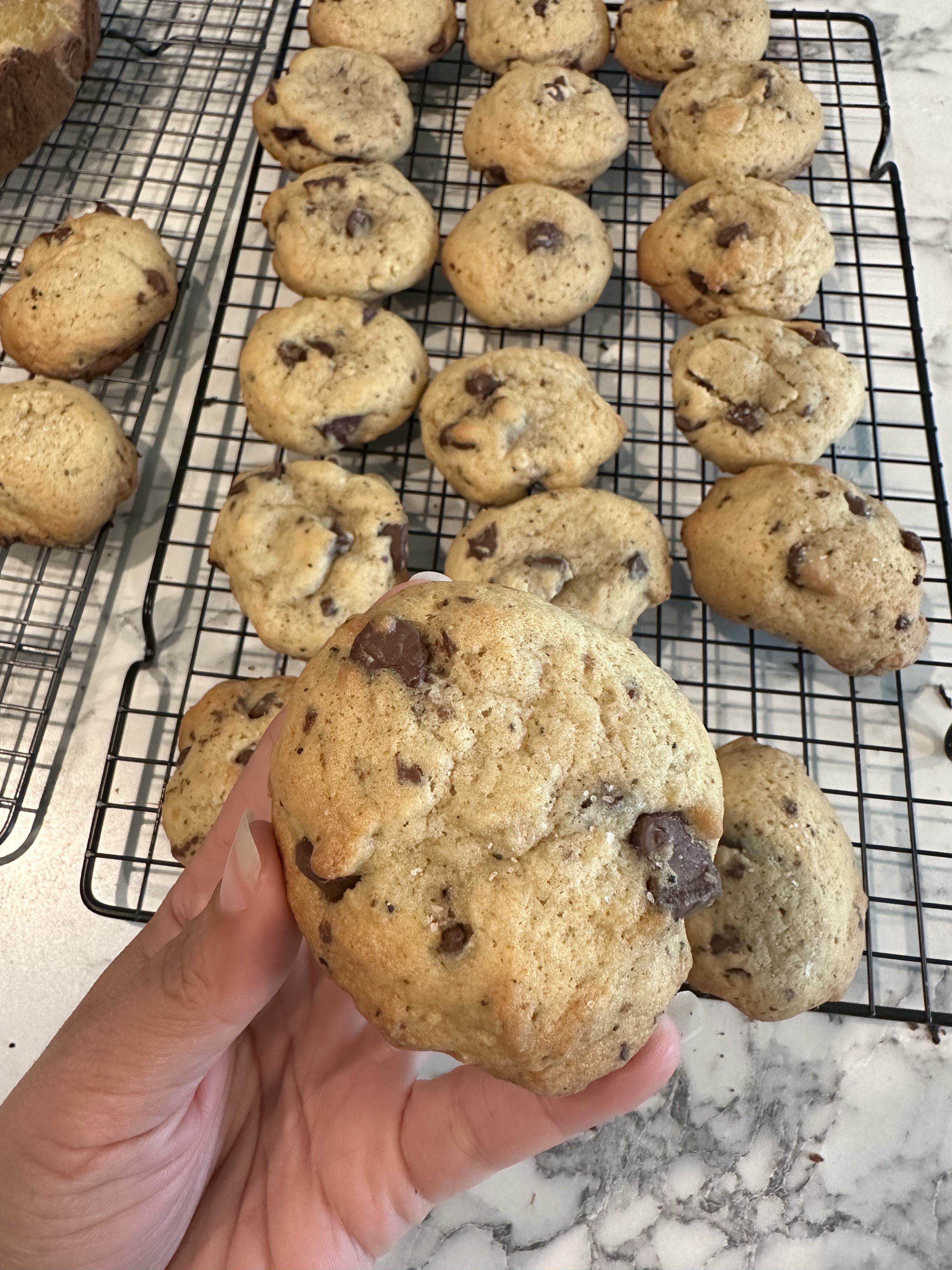Sourdough Double Chocolate Chip Cookies 