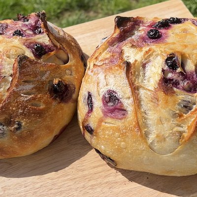 Blueberry & Lemon Sourdough