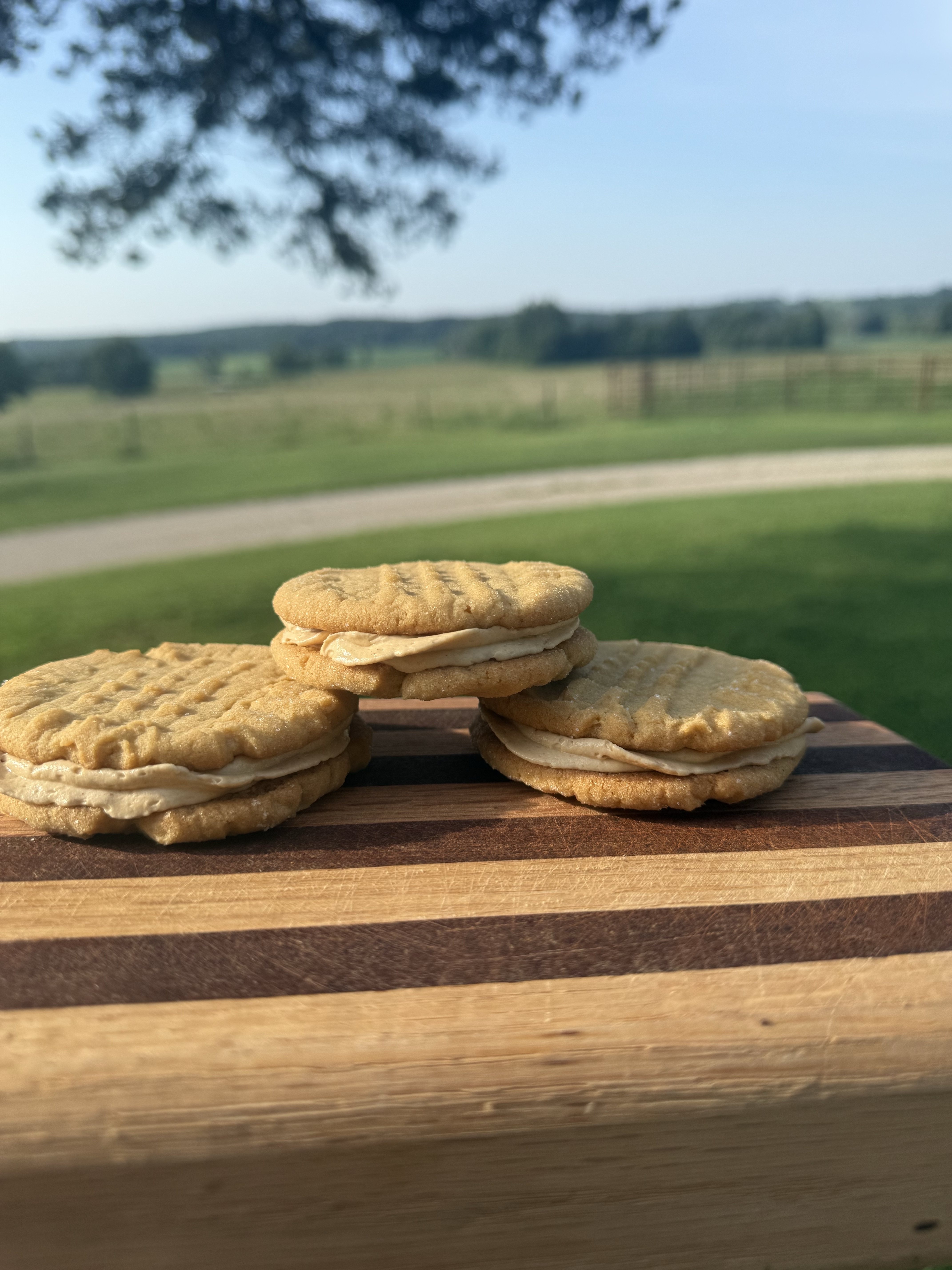 1 Dozen Of Peanut Butter Sandwich Cookies 
