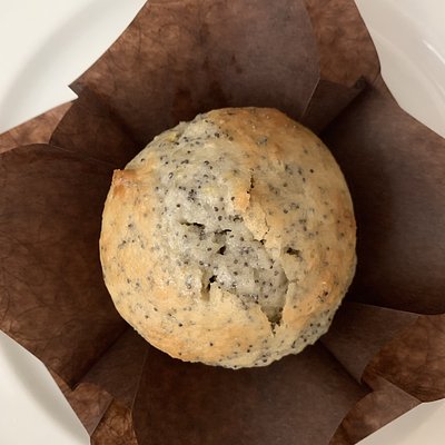 Lemon Poppyseed Muffin