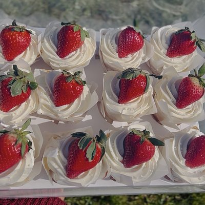 12 Cupcakes