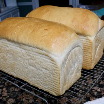 Sandwich Bread