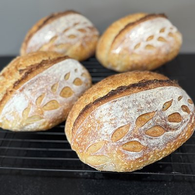 Garlic Parmesan Herb 