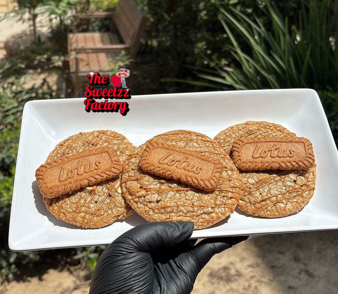 Biscoff Cookie 