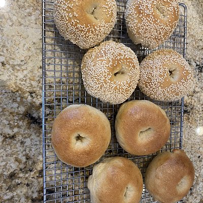 Everything Bagel Sourdough Bagels pkg of 4