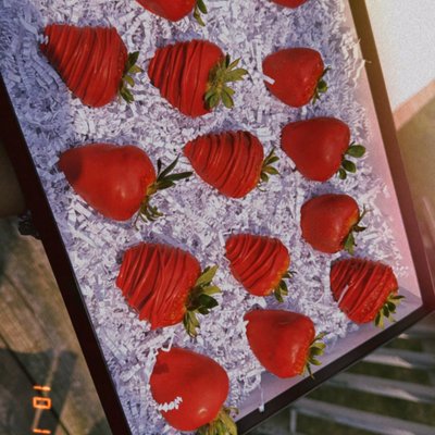 Chocolate Covered Treats