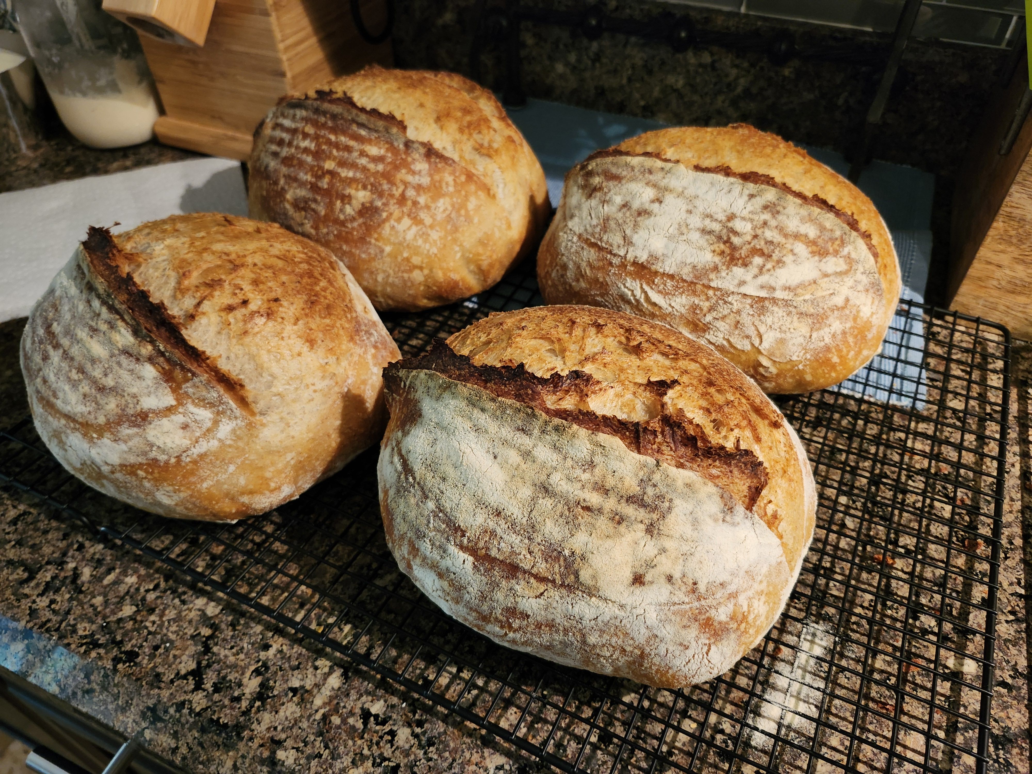 Rustic Country Loaf - 1kg
