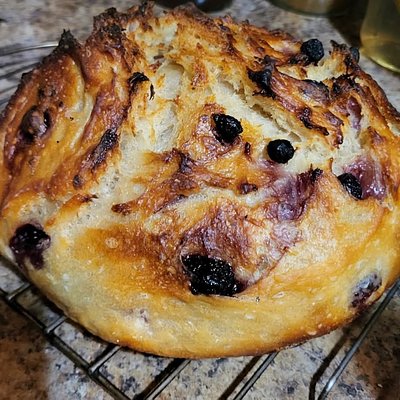 Lemon Blueberry Sourdough