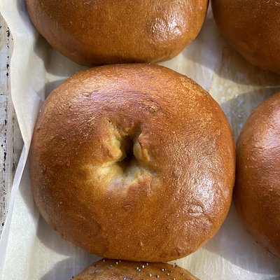 1 Organic Sourdough Plain Bagel