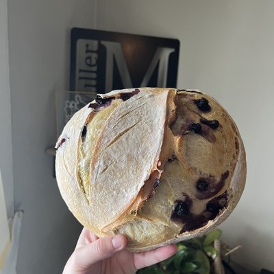 Mini Lemon & Blueberry Sourdough Loaf 