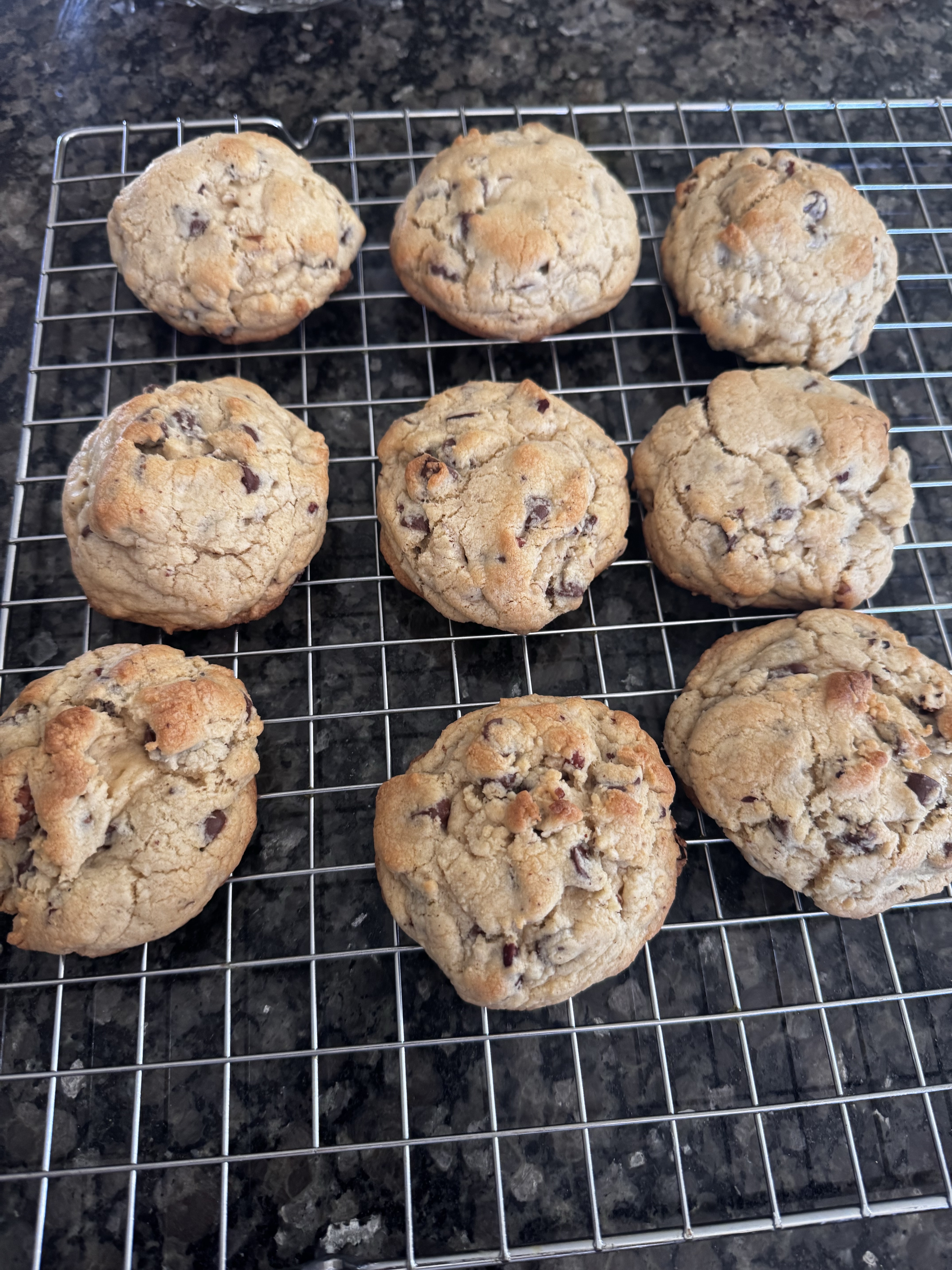 Chocolate Chip Walnut