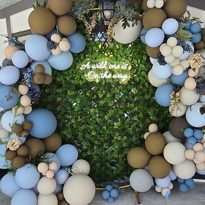 ALL INCLUSIVE Custom Theme/Specialty Design Balloon Arch