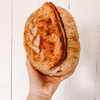 Classic Sourdough Loaf