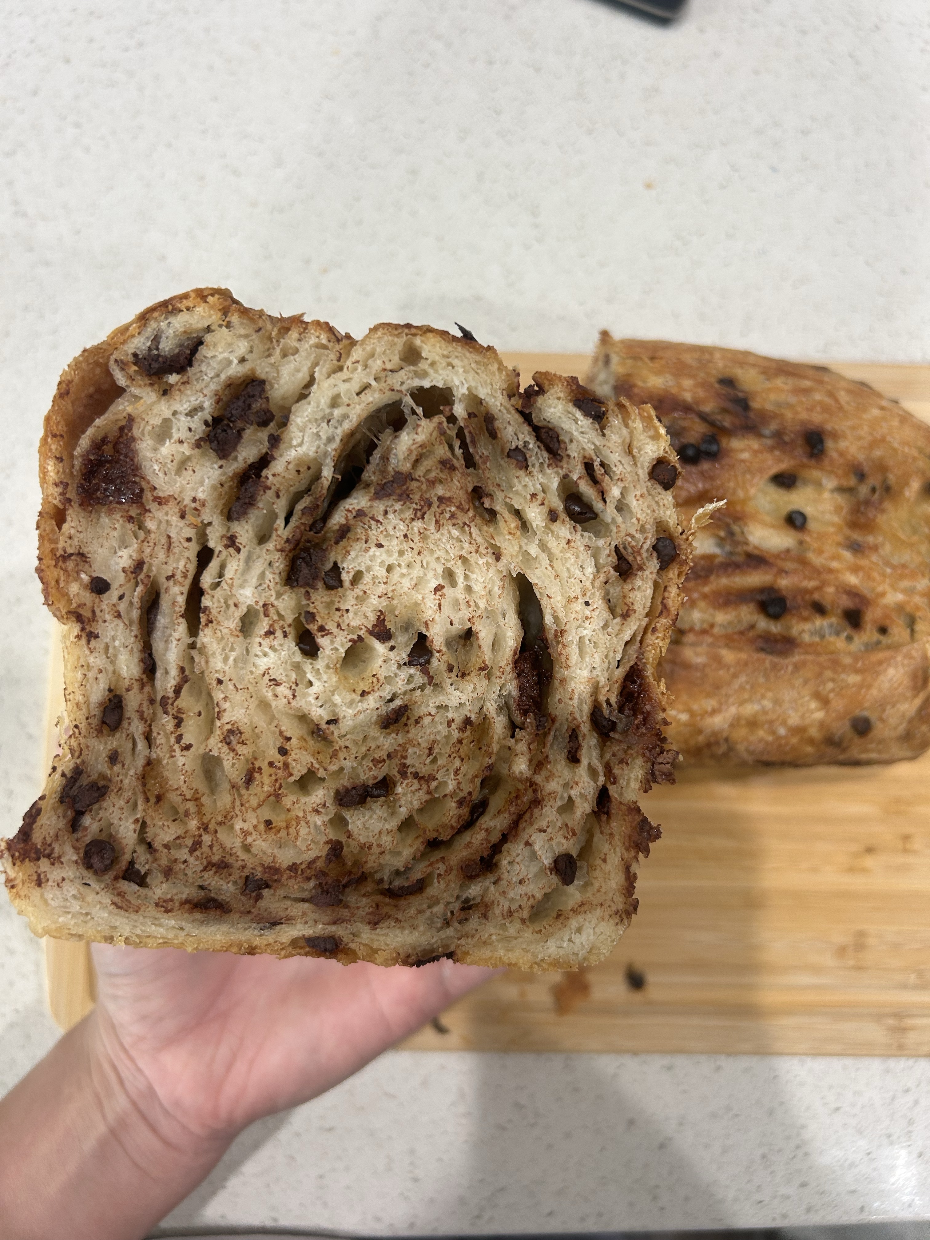 Chocolate Chip Croissant 