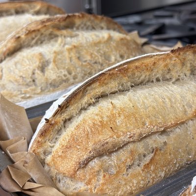 Plain Sourdough  Loaf - Organic Ingredients 