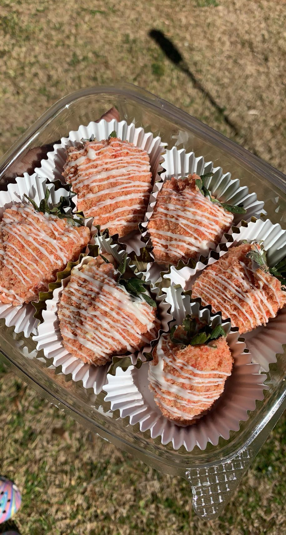 Strawberry Crunch Berries Dozen