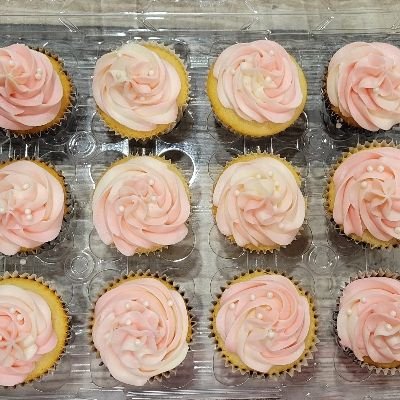 Basic Cupcakes